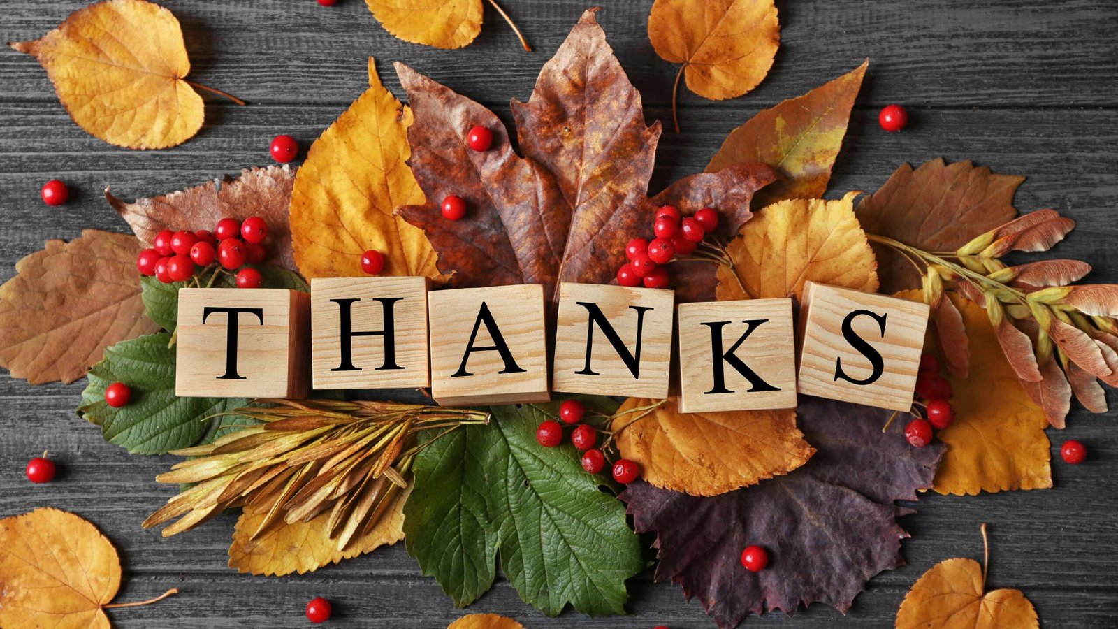 Reflecting on 2025: Gratitude Amid a Year of Turmoil